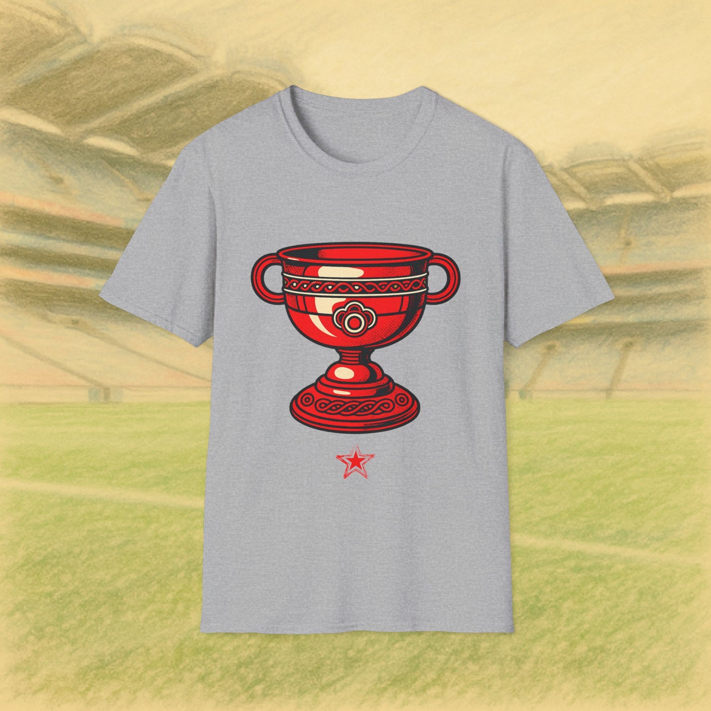 Derry GAA 1 Time All Ireland Champions