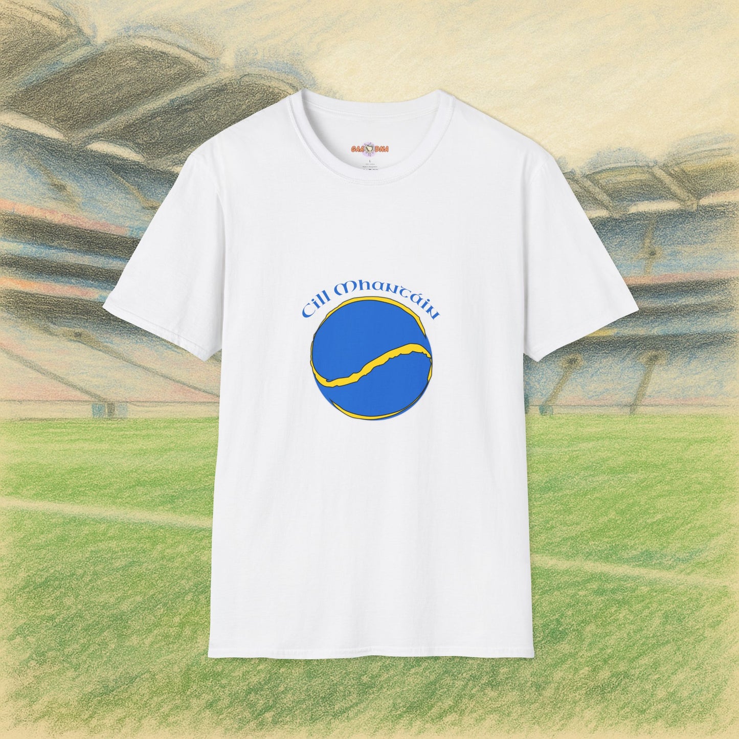Wicklow Sliotar
