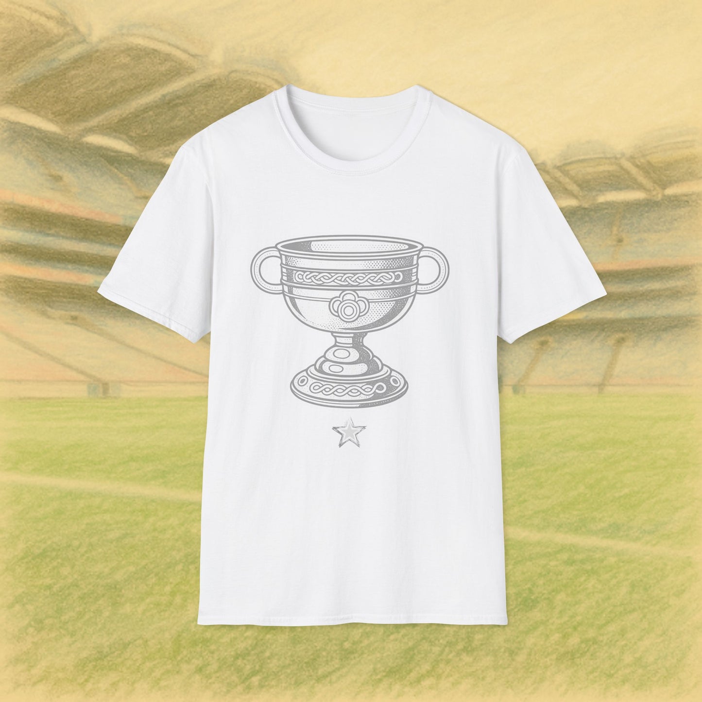 Kildare GAA 1 Time All Ireland Champions