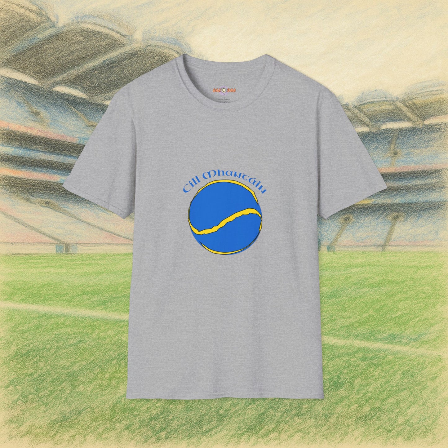 Wicklow Sliotar