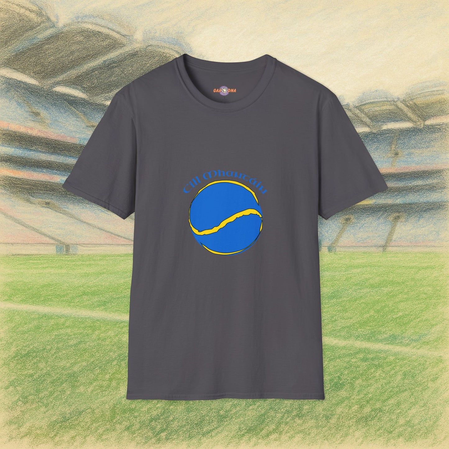 Wicklow Sliotar