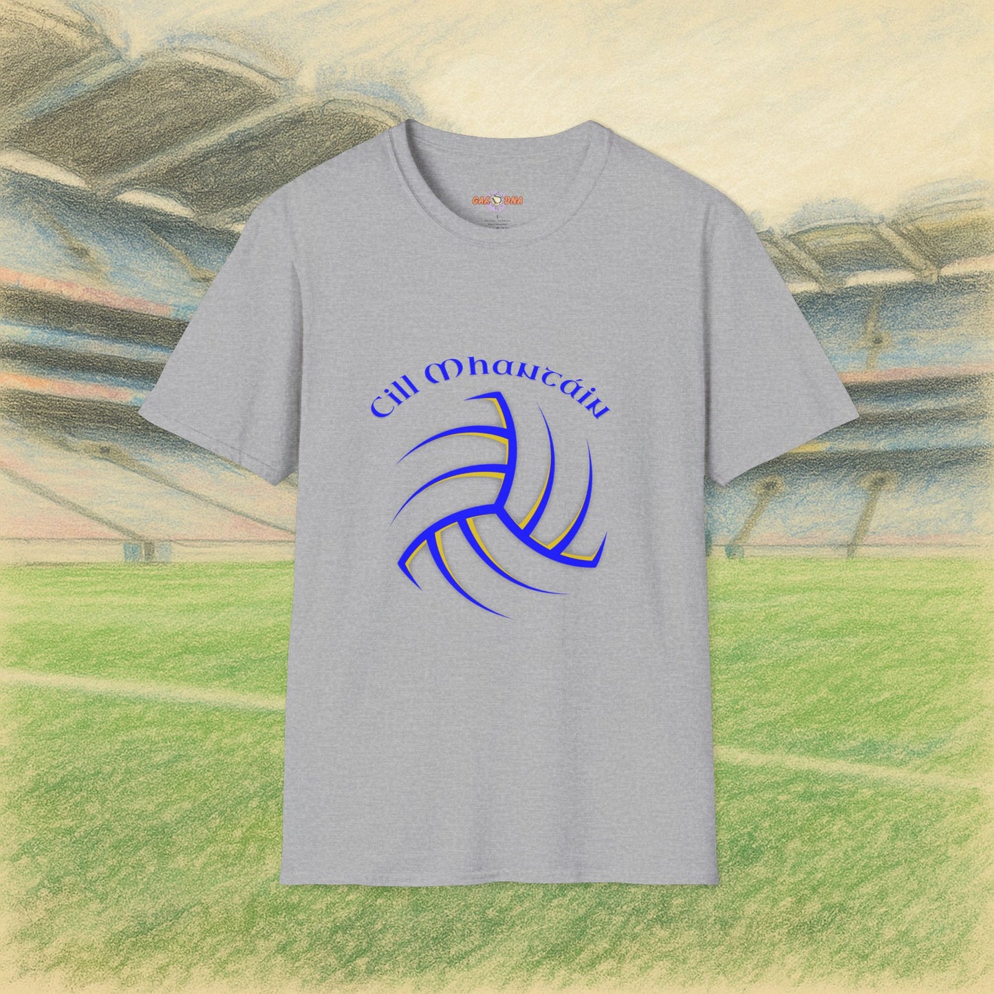 Wicklow Gaelic Football