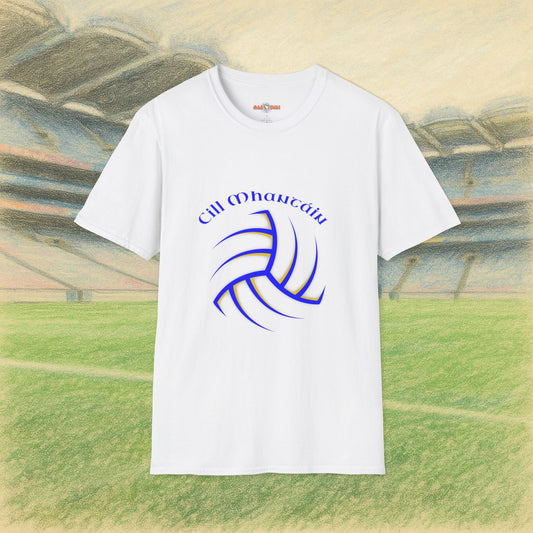 Wicklow Gaelic Football