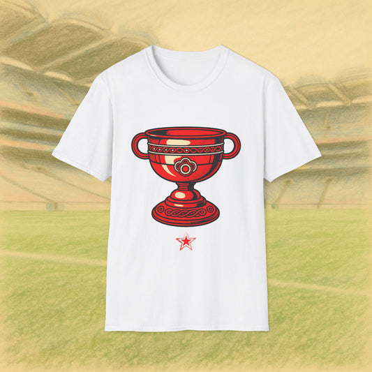 Derry GAA 1 Time All Ireland Champions