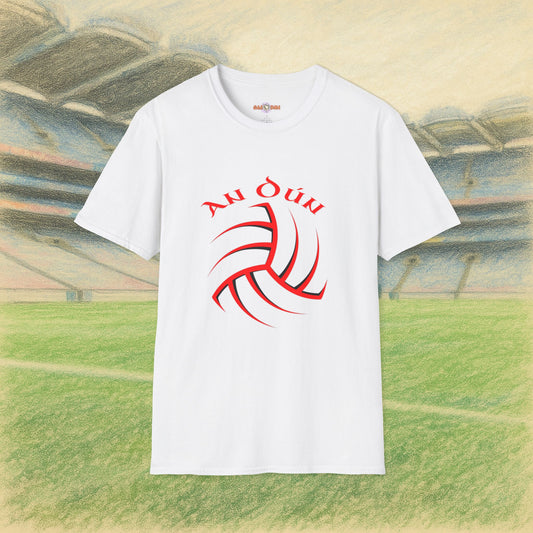 Down Gaelic Football